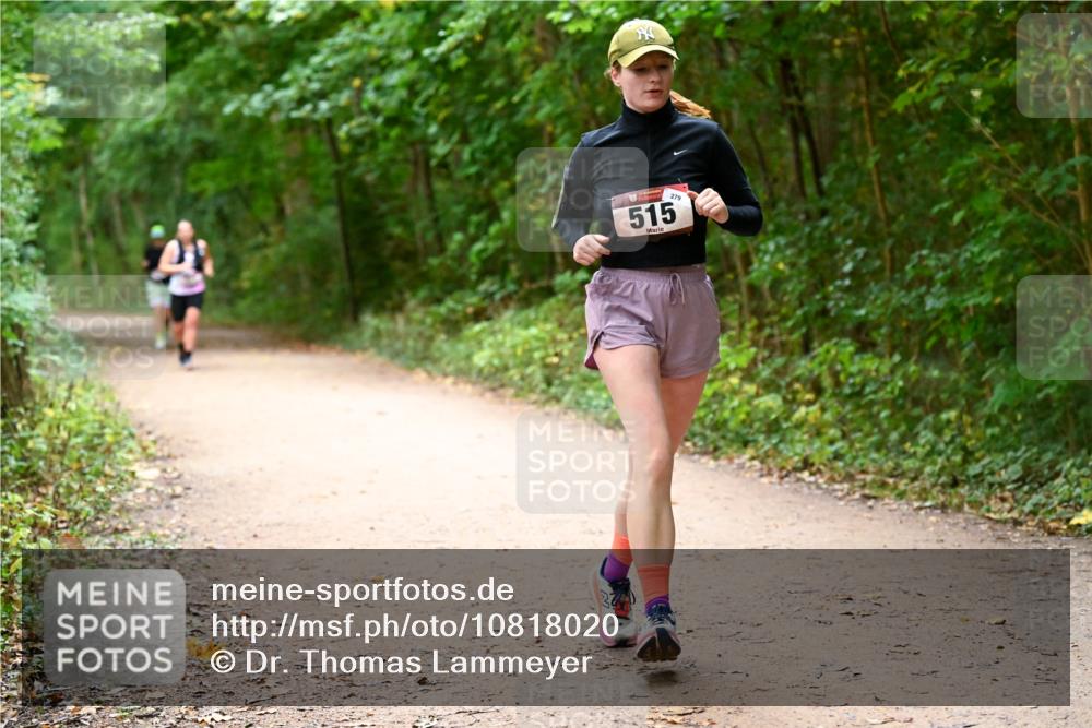 11.10.2026 - Bramfelder Halbmarathon 2026 Dr. Thomas Lammeyer http://msf.ph/oto/10818020 11.10.2026 10:00:01 Laufen 515, 279 meine-sportfotos.de