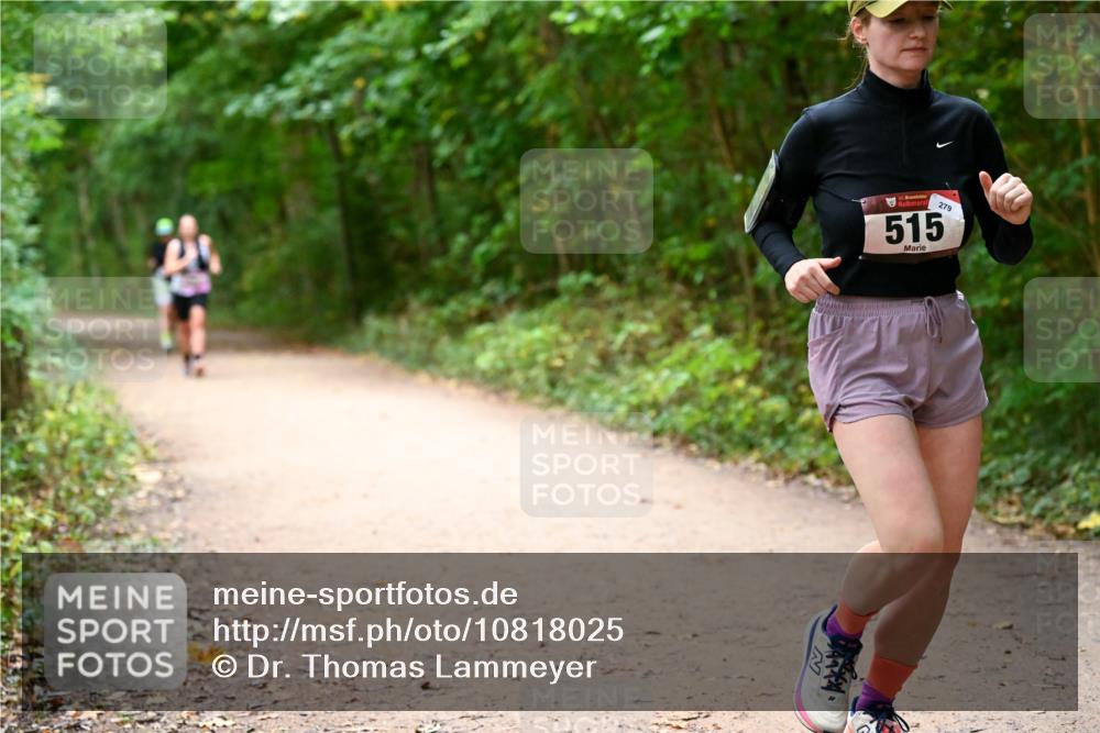 11.10.2026 - Bramfelder Halbmarathon 2026 Dr. Thomas Lammeyer http://msf.ph/oto/10818025 11.10.2026 10:00:02 Laufen 35, 279, 515 meine-sportfotos.de