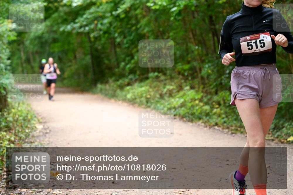 11.10.2026 - Bramfelder Halbmarathon 2026 Dr. Thomas Lammeyer http://msf.ph/oto/10818026 11.10.2026 10:00:02 Laufen 35, 279, 515 meine-sportfotos.de
