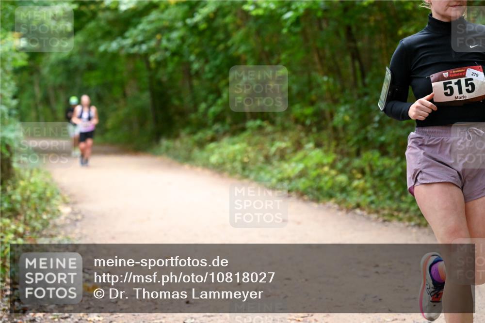 11.10.2026 - Bramfelder Halbmarathon 2026 Dr. Thomas Lammeyer http://msf.ph/oto/10818027 11.10.2026 10:00:02 Laufen 35, 279, 515 meine-sportfotos.de