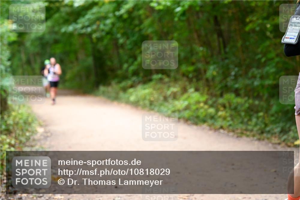 11.10.2026 - Bramfelder Halbmarathon 2026 Dr. Thomas Lammeyer http://msf.ph/oto/10818029 11.10.2026 10:00:02 Laufen 2953 meine-sportfotos.de