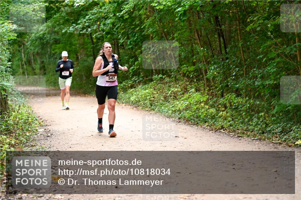 11.10.2026 - Bramfelder Halbmarathon 2026 Dr. Thomas Lammeyer http://msf.ph/oto/10818034 11.10.2026 10:00:08 Laufen 503, 547 meine-sportfotos.de