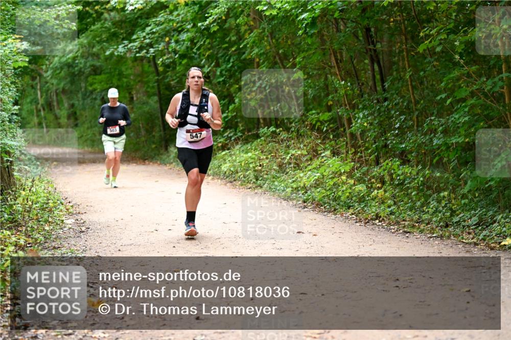 11.10.2026 - Bramfelder Halbmarathon 2026 Dr. Thomas Lammeyer http://msf.ph/oto/10818036 11.10.2026 10:00:08 Laufen 503, 547 meine-sportfotos.de