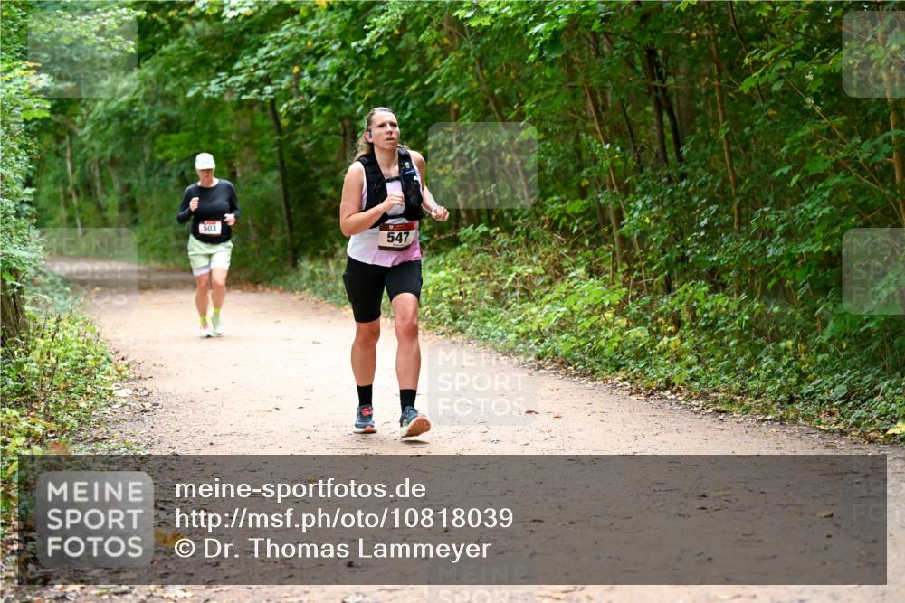 11.10.2026 - Bramfelder Halbmarathon 2026 Dr. Thomas Lammeyer http://msf.ph/oto/10818039 11.10.2026 10:00:08 Laufen 503, 547 meine-sportfotos.de