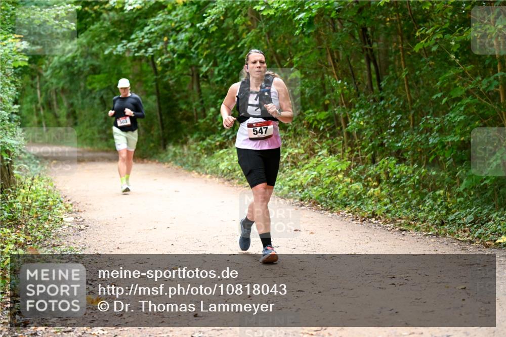 11.10.2026 - Bramfelder Halbmarathon 2026 Dr. Thomas Lammeyer http://msf.ph/oto/10818043 11.10.2026 10:00:09 Laufen 303, 547 meine-sportfotos.de