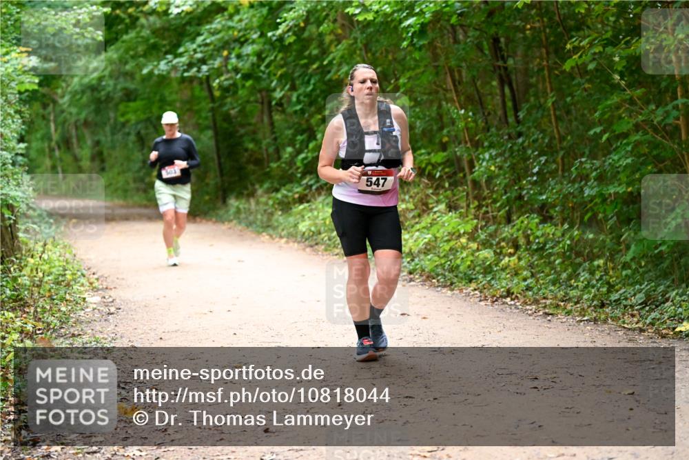 11.10.2026 - Bramfelder Halbmarathon 2026 Dr. Thomas Lammeyer http://msf.ph/oto/10818044 11.10.2026 10:00:09 Laufen 301, 547 meine-sportfotos.de
