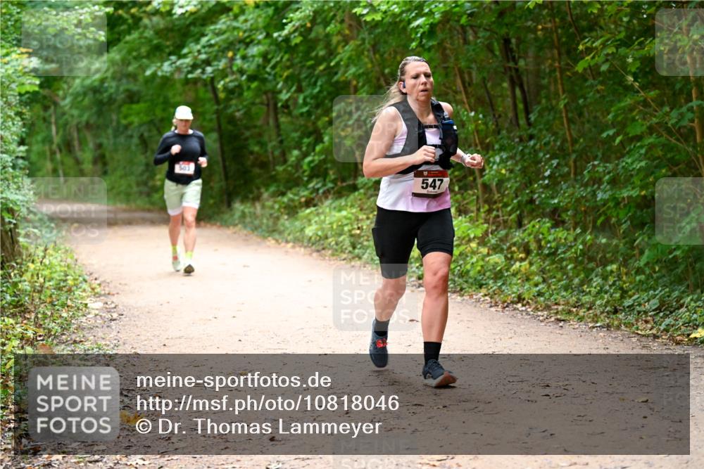 11.10.2026 - Bramfelder Halbmarathon 2026 Dr. Thomas Lammeyer http://msf.ph/oto/10818046 11.10.2026 10:00:09 Laufen 503, 547 meine-sportfotos.de