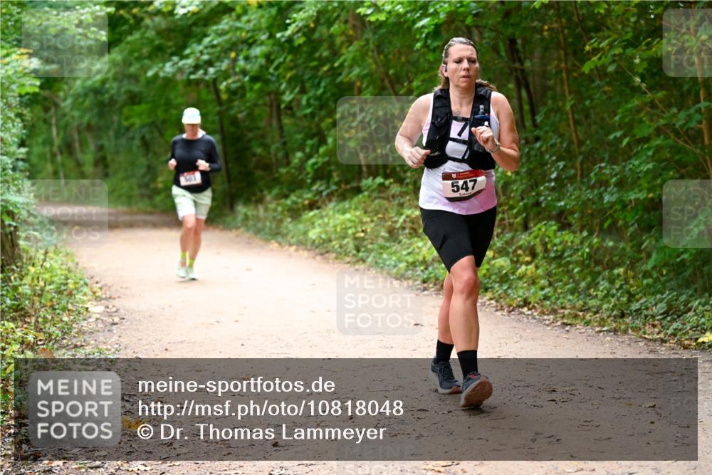 11.10.2026 - Bramfelder Halbmarathon 2026 Dr. Thomas Lammeyer http://msf.ph/oto/10818048 11.10.2026 10:00:09 Laufen 547 meine-sportfotos.de