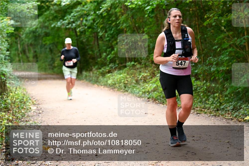 11.10.2026 - Bramfelder Halbmarathon 2026 Dr. Thomas Lammeyer http://msf.ph/oto/10818050 11.10.2026 10:00:10 Laufen 547 meine-sportfotos.de