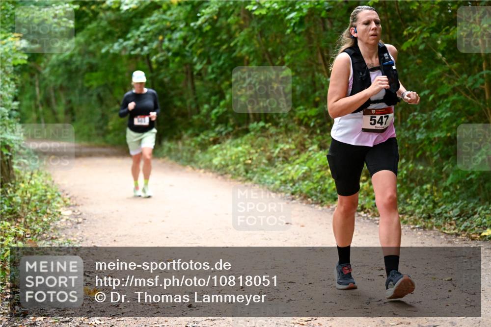 11.10.2026 - Bramfelder Halbmarathon 2026 Dr. Thomas Lammeyer http://msf.ph/oto/10818051 11.10.2026 10:00:10 Laufen 547 meine-sportfotos.de