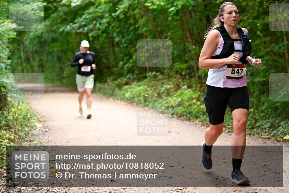 11.10.2026 - Bramfelder Halbmarathon 2026 Dr. Thomas Lammeyer http://msf.ph/oto/10818052 11.10.2026 10:00:10 Laufen 547 meine-sportfotos.de