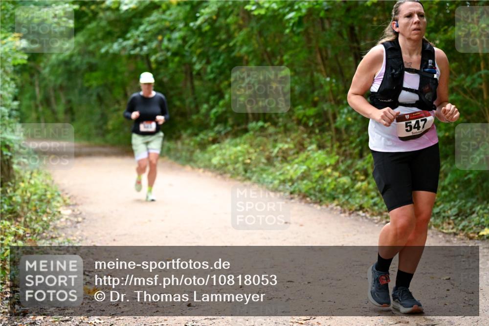 11.10.2026 - Bramfelder Halbmarathon 2026 Dr. Thomas Lammeyer http://msf.ph/oto/10818053 11.10.2026 10:00:10 Laufen 547 meine-sportfotos.de