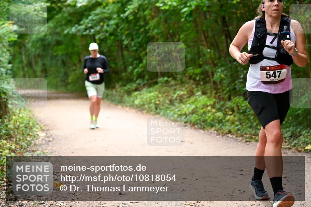 11.10.2026 - Bramfelder Halbmarathon 2026 Dr. Thomas Lammeyer http://msf.ph/oto/10818054 11.10.2026 10:00:10 Laufen 547 meine-sportfotos.de