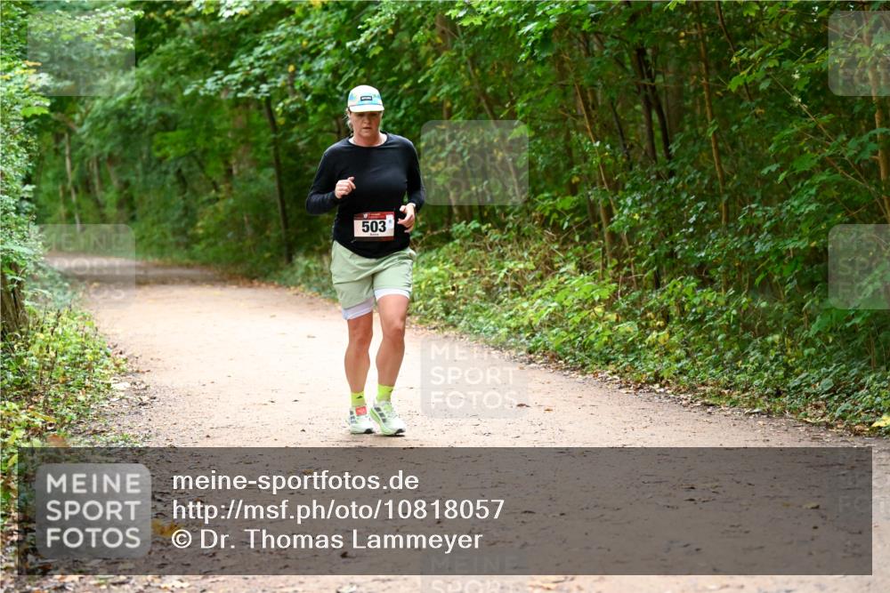 11.10.2026 - Bramfelder Halbmarathon 2026 Dr. Thomas Lammeyer http://msf.ph/oto/10818057 11.10.2026 10:00:12 Laufen 503 meine-sportfotos.de