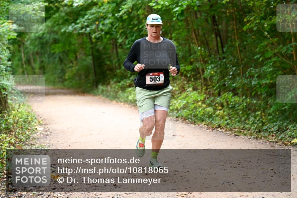 11.10.2026 - Bramfelder Halbmarathon 2026 Dr. Thomas Lammeyer http://msf.ph/oto/10818065 11.10.2026 10:00:13 Laufen 503 meine-sportfotos.de