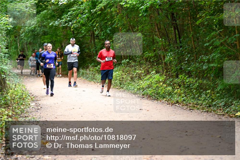 11.10.2026 - Bramfelder Halbmarathon 2026 Dr. Thomas Lammeyer http://msf.ph/oto/10818097 11.10.2026 10:01:01 Laufen 157, 393, 422 meine-sportfotos.de