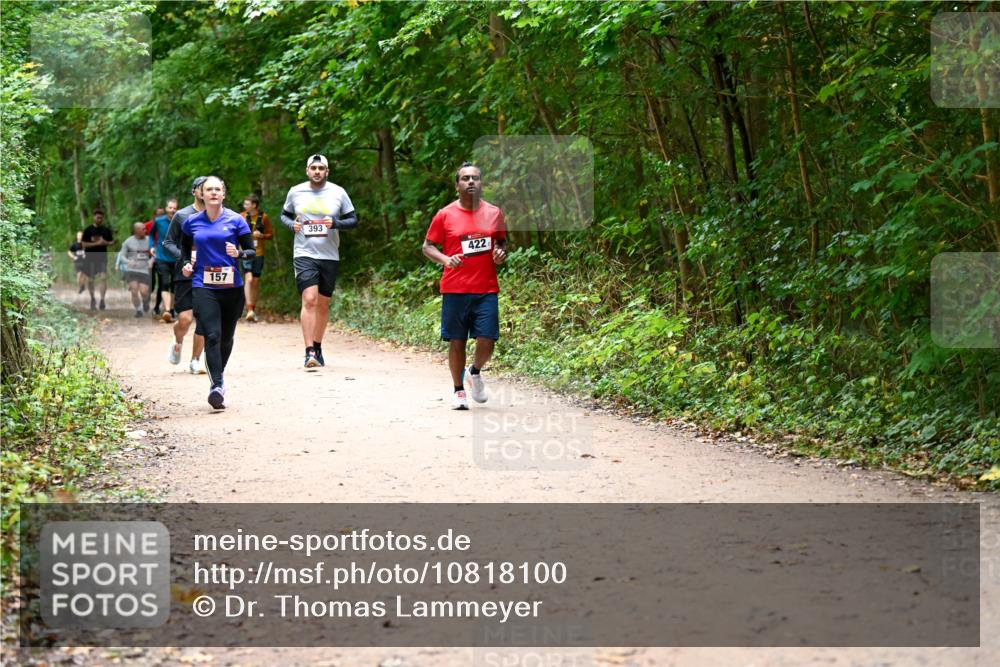 11.10.2026 - Bramfelder Halbmarathon 2026 Dr. Thomas Lammeyer http://msf.ph/oto/10818100 11.10.2026 10:01:01 Laufen 157, 393, 422 meine-sportfotos.de