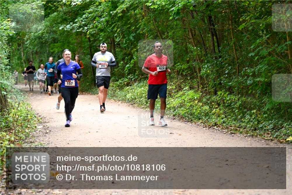 11.10.2026 - Bramfelder Halbmarathon 2026 Dr. Thomas Lammeyer http://msf.ph/oto/10818106 11.10.2026 10:01:02 Laufen 157, 393, 422 meine-sportfotos.de