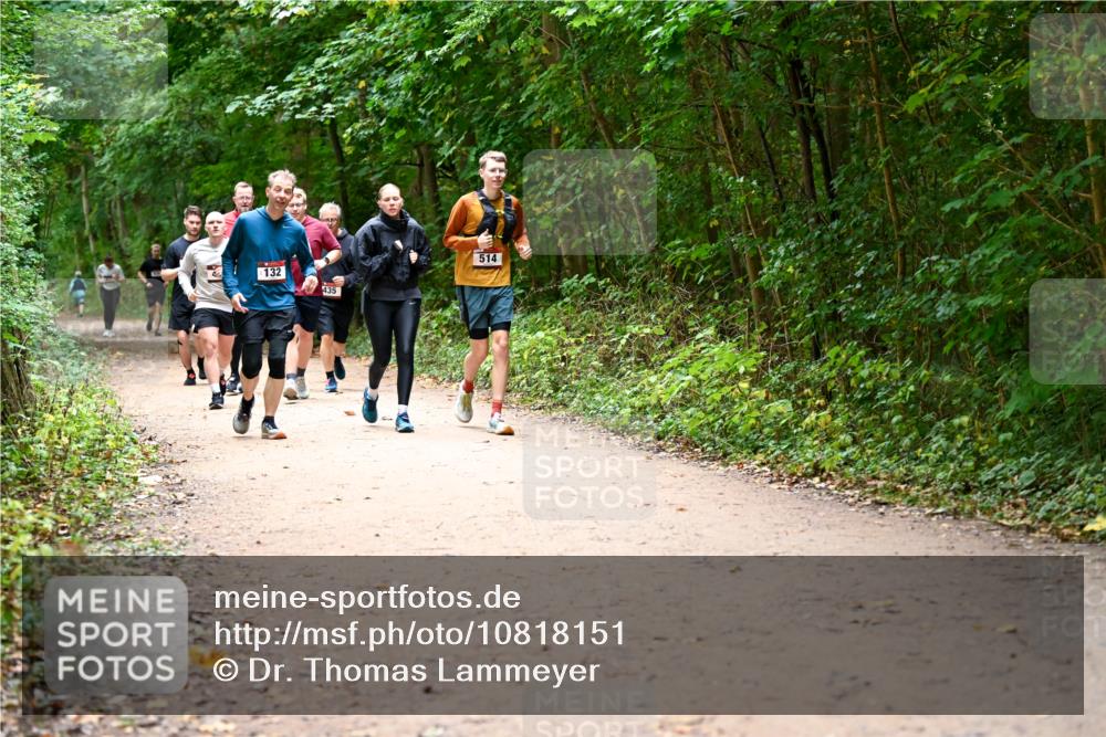 11.10.2026 - Bramfelder Halbmarathon 2026 Dr. Thomas Lammeyer http://msf.ph/oto/10818151 11.10.2026 10:01:09 Laufen 132, 435, 514 meine-sportfotos.de