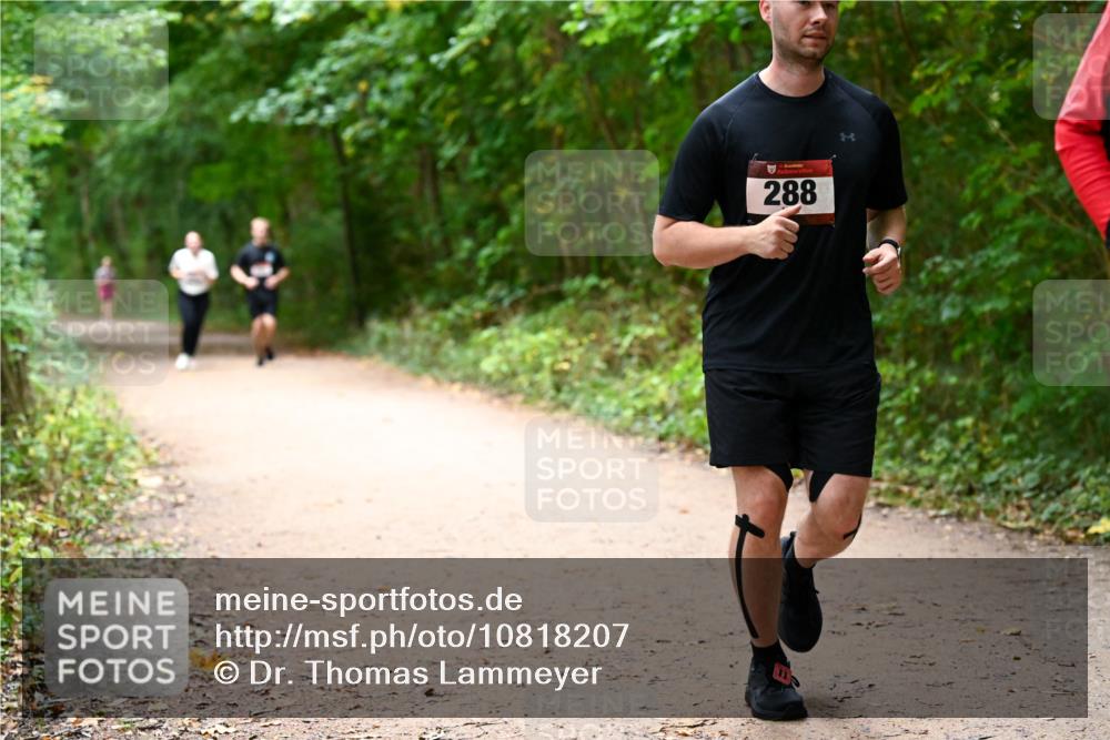 11.10.2026 - Bramfelder Halbmarathon 2026 Dr. Thomas Lammeyer http://msf.ph/oto/10818207 11.10.2026 10:01:17 Laufen 288 meine-sportfotos.de