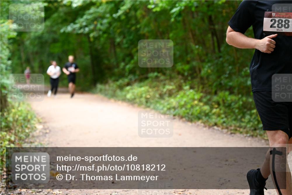 11.10.2026 - Bramfelder Halbmarathon 2026 Dr. Thomas Lammeyer http://msf.ph/oto/10818212 11.10.2026 10:01:18 Laufen 35, 288 meine-sportfotos.de
