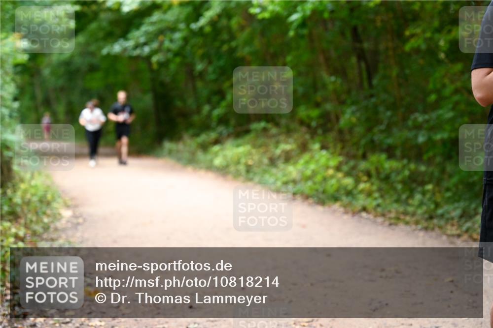 11.10.2026 - Bramfelder Halbmarathon 2026 Dr. Thomas Lammeyer http://msf.ph/oto/10818214 11.10.2026 10:01:18 Laufen  meine-sportfotos.de