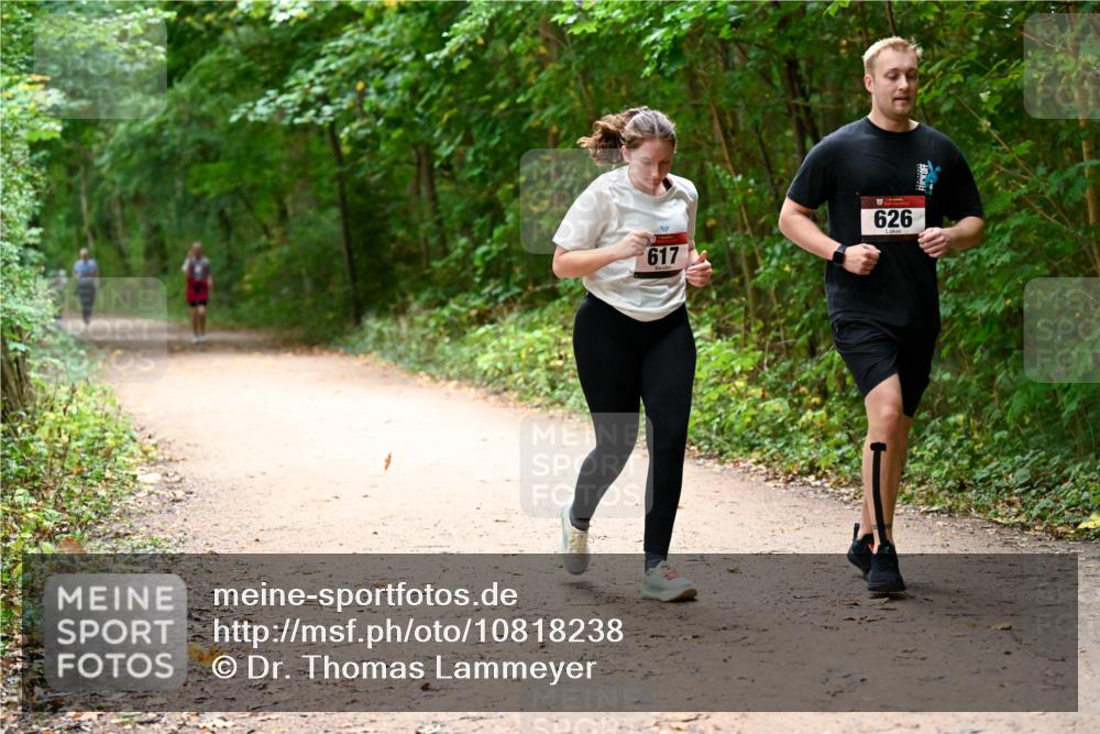 11.10.2026 - Bramfelder Halbmarathon 2026 Dr. Thomas Lammeyer http://msf.ph/oto/10818238 11.10.2026 10:01:27 Laufen 617, 626 meine-sportfotos.de