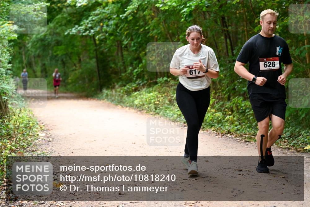 11.10.2026 - Bramfelder Halbmarathon 2026 Dr. Thomas Lammeyer http://msf.ph/oto/10818240 11.10.2026 10:01:27 Laufen 617, 626 meine-sportfotos.de