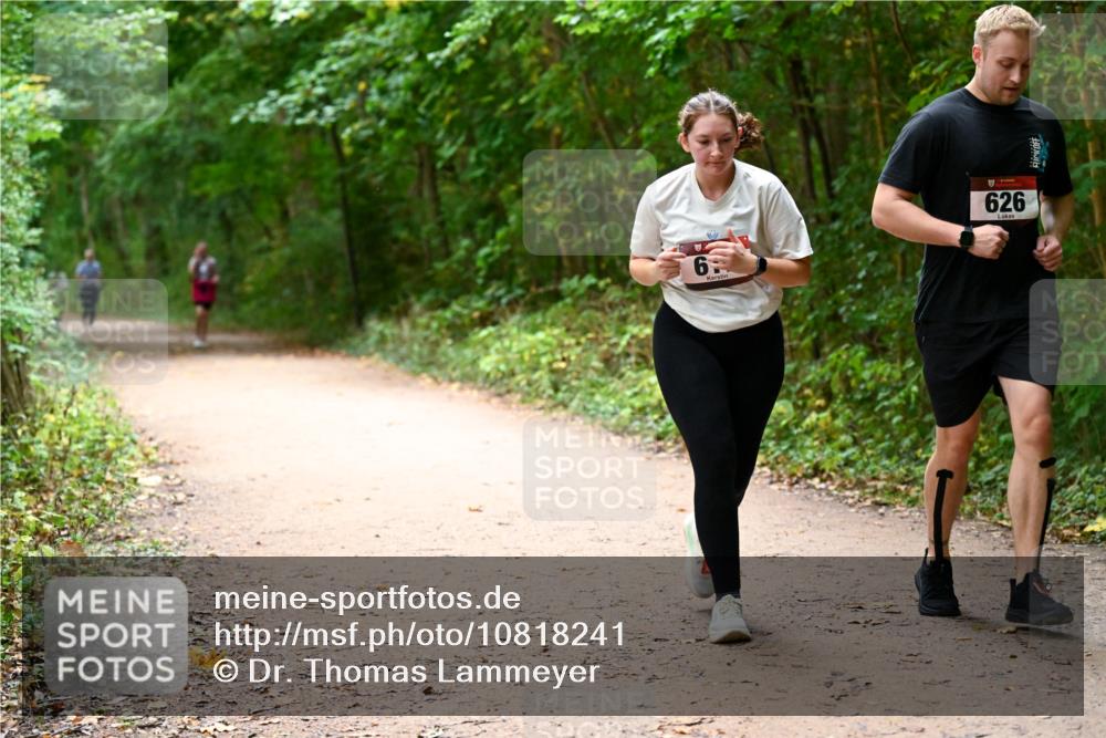 11.10.2026 - Bramfelder Halbmarathon 2026 Dr. Thomas Lammeyer http://msf.ph/oto/10818241 11.10.2026 10:01:27 Laufen 6, 626 meine-sportfotos.de