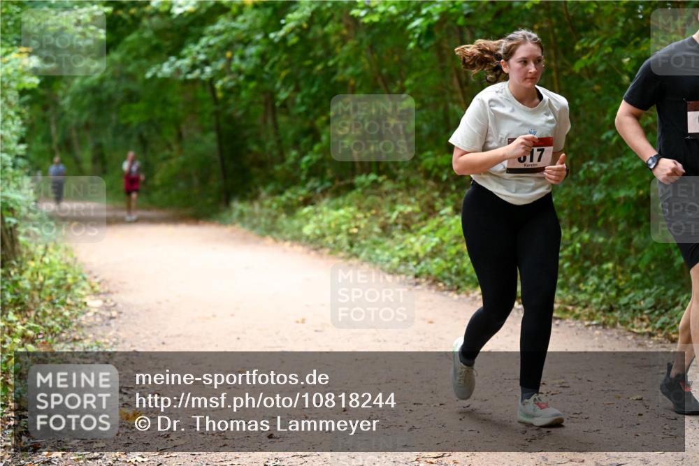 11.10.2026 - Bramfelder Halbmarathon 2026 Dr. Thomas Lammeyer http://msf.ph/oto/10818244 11.10.2026 10:01:28 Laufen 17 meine-sportfotos.de