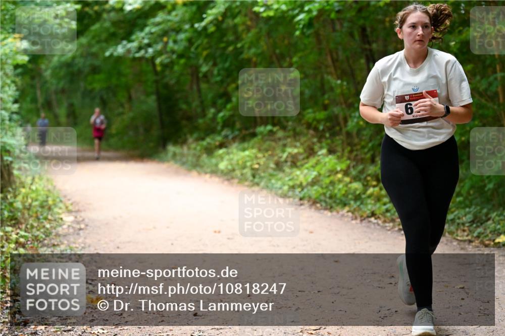 11.10.2026 - Bramfelder Halbmarathon 2026 Dr. Thomas Lammeyer http://msf.ph/oto/10818247 11.10.2026 10:01:28 Laufen 6 meine-sportfotos.de