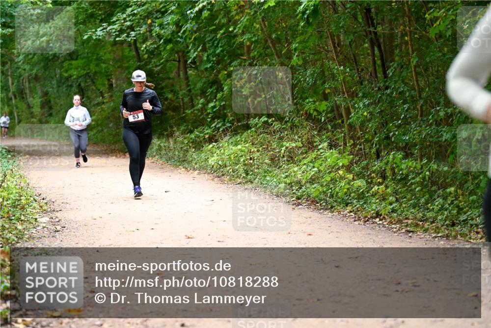 11.10.2026 - Bramfelder Halbmarathon 2026 Dr. Thomas Lammeyer http://msf.ph/oto/10818288 11.10.2026 10:01:52 Laufen 53 meine-sportfotos.de