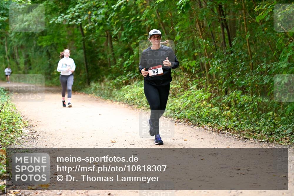 11.10.2026 - Bramfelder Halbmarathon 2026 Dr. Thomas Lammeyer http://msf.ph/oto/10818307 11.10.2026 10:01:54 Laufen 53 meine-sportfotos.de