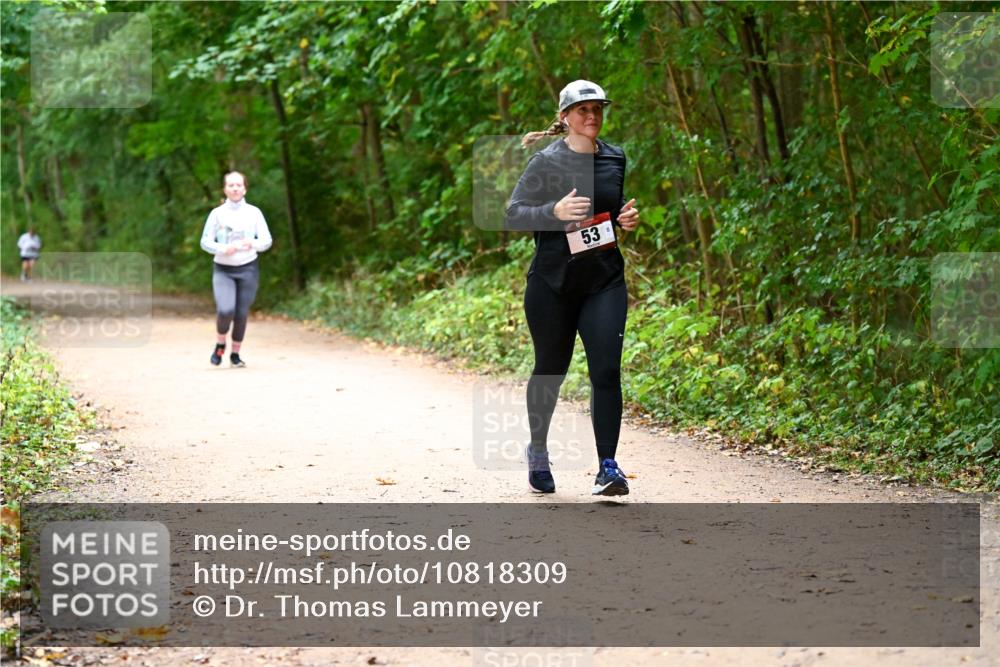 11.10.2026 - Bramfelder Halbmarathon 2026 Dr. Thomas Lammeyer http://msf.ph/oto/10818309 11.10.2026 10:01:55 Laufen 53 meine-sportfotos.de