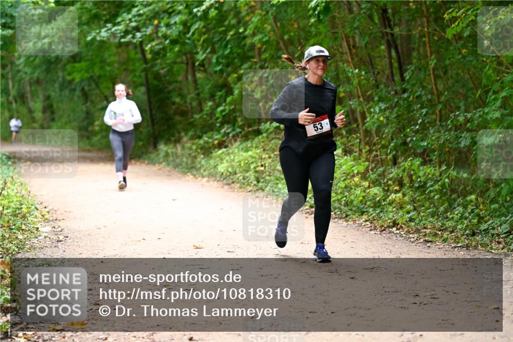 11.10.2026 - Bramfelder Halbmarathon 2026 Dr. Thomas Lammeyer http://msf.ph/oto/10818310 11.10.2026 10:01:55 Laufen 53 meine-sportfotos.de