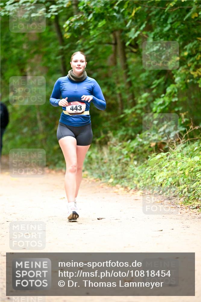 11.10.2026 - Bramfelder Halbmarathon 2026 Dr. Thomas Lammeyer http://msf.ph/oto/10818454 11.10.2026 10:04:10 Laufen 443 meine-sportfotos.de