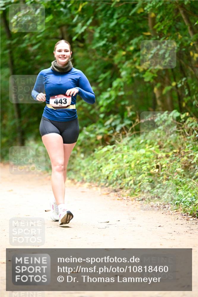 11.10.2026 - Bramfelder Halbmarathon 2026 Dr. Thomas Lammeyer http://msf.ph/oto/10818460 11.10.2026 10:04:11 Laufen 443 meine-sportfotos.de