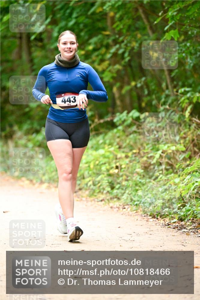 11.10.2026 - Bramfelder Halbmarathon 2026 Dr. Thomas Lammeyer http://msf.ph/oto/10818466 11.10.2026 10:04:11 Laufen 443 meine-sportfotos.de