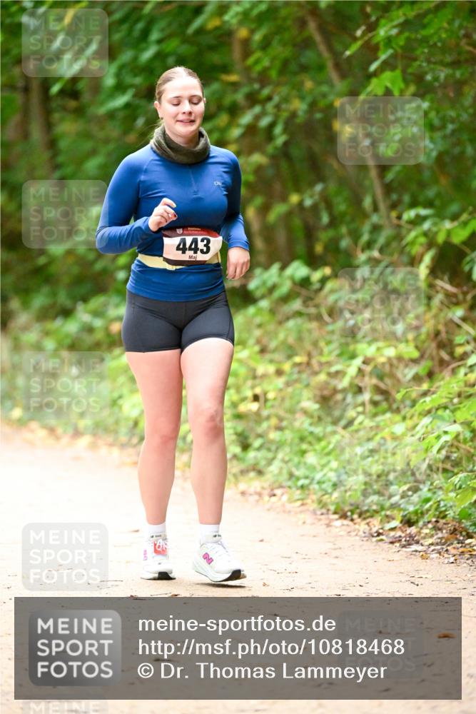 11.10.2026 - Bramfelder Halbmarathon 2026 Dr. Thomas Lammeyer http://msf.ph/oto/10818468 11.10.2026 10:04:12 Laufen 443 meine-sportfotos.de