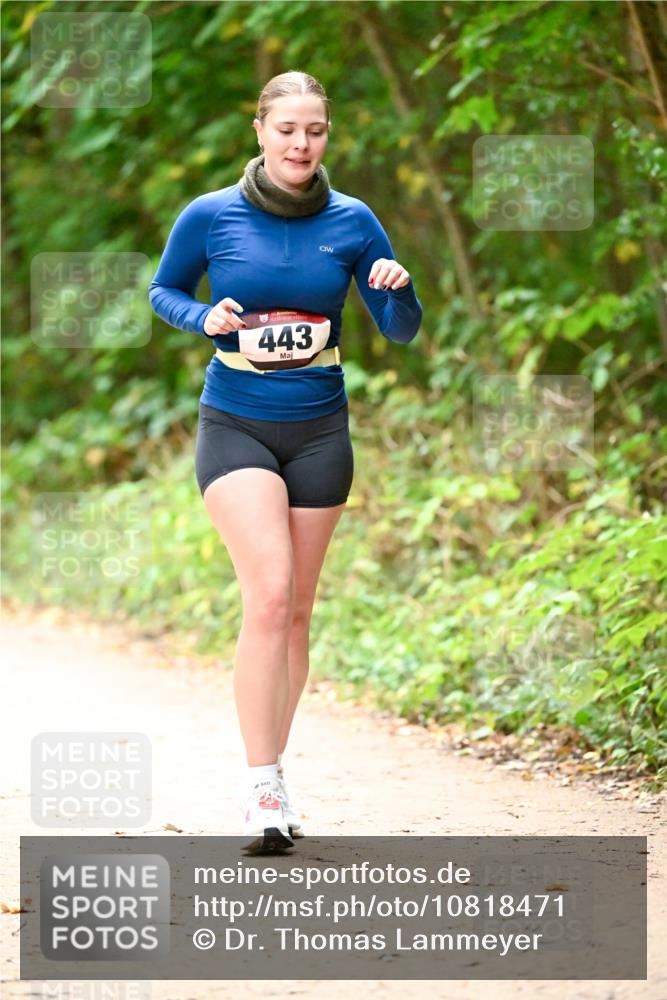 11.10.2026 - Bramfelder Halbmarathon 2026 Dr. Thomas Lammeyer http://msf.ph/oto/10818471 11.10.2026 10:04:12 Laufen 443 meine-sportfotos.de