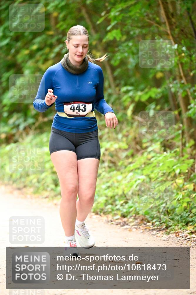 11.10.2026 - Bramfelder Halbmarathon 2026 Dr. Thomas Lammeyer http://msf.ph/oto/10818473 11.10.2026 10:04:12 Laufen 443 meine-sportfotos.de