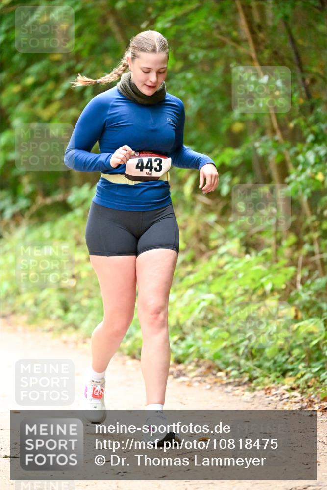 11.10.2026 - Bramfelder Halbmarathon 2026 Dr. Thomas Lammeyer http://msf.ph/oto/10818475 11.10.2026 10:04:13 Laufen 443 meine-sportfotos.de
