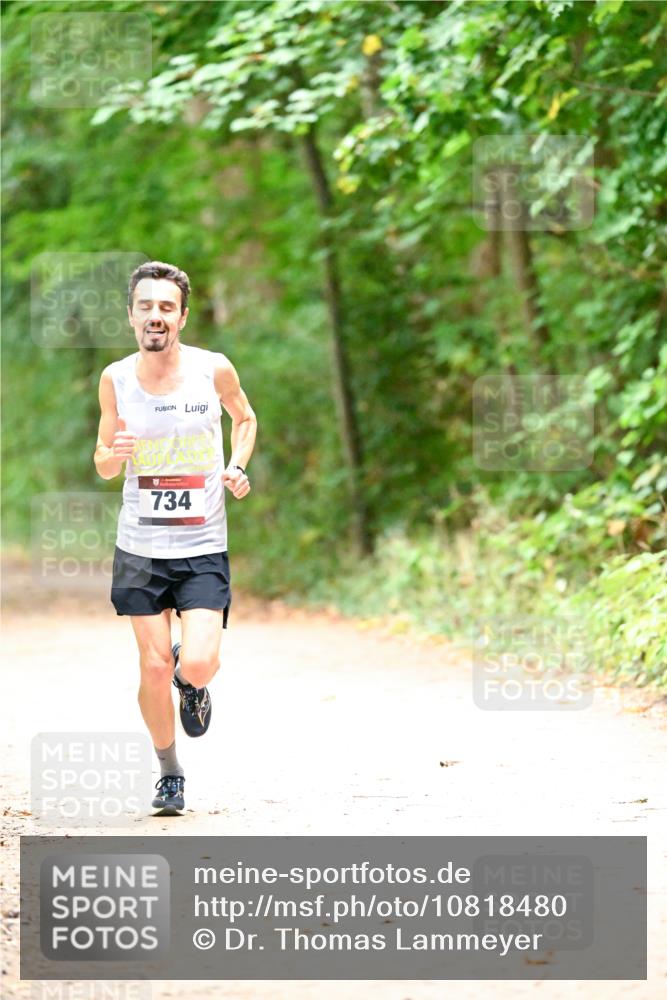 11.10.2026 - Bramfelder Halbmarathon 2026 Dr. Thomas Lammeyer http://msf.ph/oto/10818480 11.10.2026 10:04:35 Laufen 734 meine-sportfotos.de