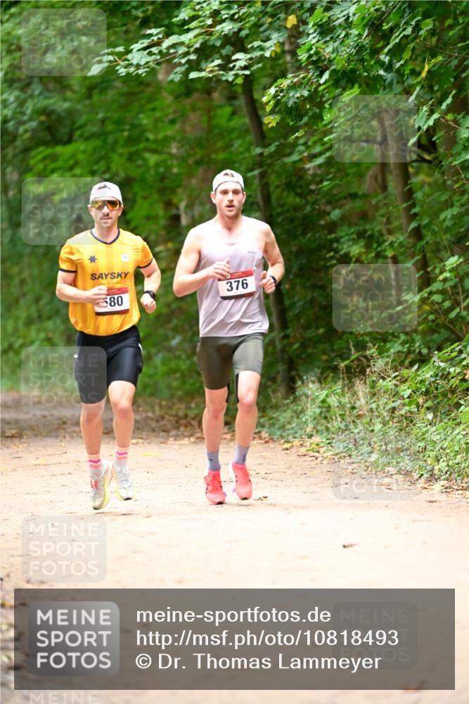 11.10.2026 - Bramfelder Halbmarathon 2026 Dr. Thomas Lammeyer http://msf.ph/oto/10818493 11.10.2026 10:04:49 Laufen 580, 376 meine-sportfotos.de