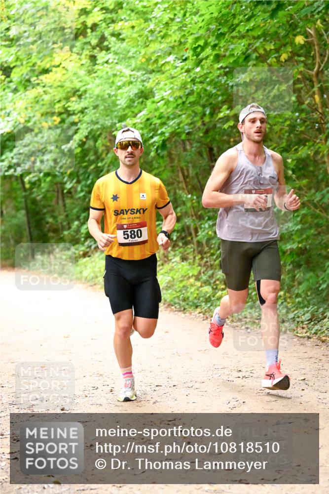 11.10.2026 - Bramfelder Halbmarathon 2026 Dr. Thomas Lammeyer http://msf.ph/oto/10818510 11.10.2026 10:04:53 Laufen 580 meine-sportfotos.de
