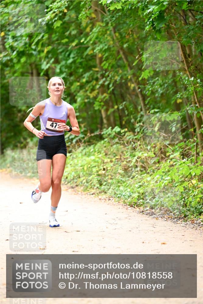 11.10.2026 - Bramfelder Halbmarathon 2026 Dr. Thomas Lammeyer http://msf.ph/oto/10818558 11.10.2026 10:05:51 Laufen 47 meine-sportfotos.de