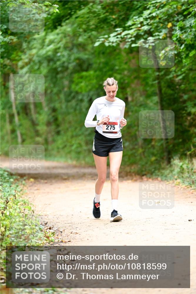 11.10.2026 - Bramfelder Halbmarathon 2026 Dr. Thomas Lammeyer http://msf.ph/oto/10818599 11.10.2026 10:06:29 Laufen 275 meine-sportfotos.de