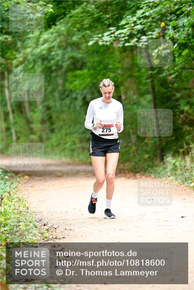 11.10.2026 - Bramfelder Halbmarathon 2026 Dr. Thomas Lammeyer http://msf.ph/oto/10818600 11.10.2026 10:06:29 Laufen 275 meine-sportfotos.de