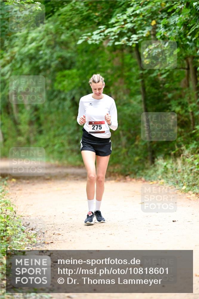 11.10.2026 - Bramfelder Halbmarathon 2026 Dr. Thomas Lammeyer http://msf.ph/oto/10818601 11.10.2026 10:06:29 Laufen 275 meine-sportfotos.de