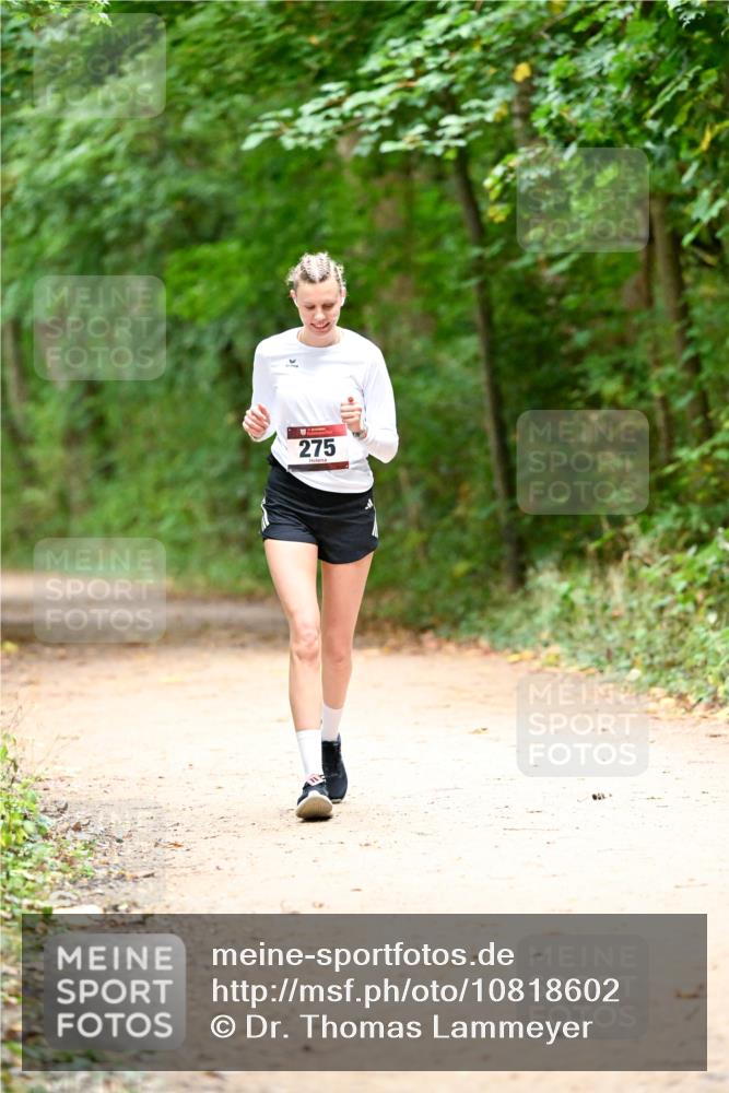 11.10.2026 - Bramfelder Halbmarathon 2026 Dr. Thomas Lammeyer http://msf.ph/oto/10818602 11.10.2026 10:06:29 Laufen 275 meine-sportfotos.de